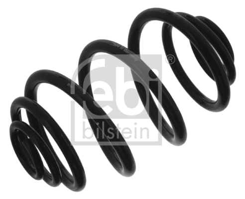 Suspension Spring
